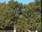 Buckingham Palace