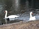 London, Regents Park