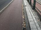 Bikers get their own special red lane on the road to bike on
