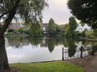 One of the many ponds and waterways in my neighborhood