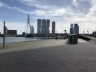 The famous Erasmus Bridge is an example of modern architecture in Rotterdam