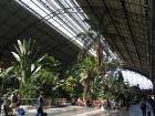 Inside the Atocha Train Station in Madrid -- ready to head to Barcelona!