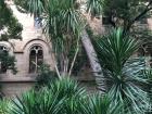 Inside the botanical garden, with the university classrooms in the background.