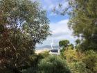 A view from the botanical garden. From here, you can see the telecommunications tower designed for the Barcelona Olympic Games of 1992.