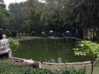 The green pond with ducks at Jardin de Estrella (Star Garden) 