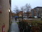 It was a dreary, rainy week in The Netherlands