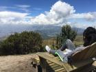 Surrounded by many bushes while at the Volcán Pichincha