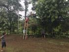 The men of the Shuar community were busy building a new house using the Toquilla tree while we were arriving