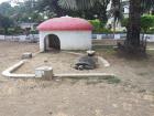 Look at this huge tortuga cruising out of his home and into the sand at Tortuga Park