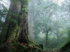 Taiwan's mountainous landscape (photo credit: Smithsonian Magazine)