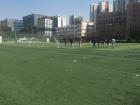 Many Korean students enjoy sports and martial arts