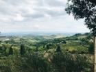 View from San Gimignano