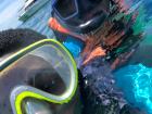 Snorkling in Phuket is fun 