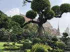 Trees are so beautiful at the palace