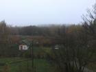 Dense forest covered in morning fog