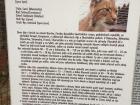 Information about the Eurasian lynx in Czech
