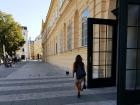 A woman walking her dog without a leash in Vienna. He is so well trained!