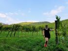 Going on a hike in the hills of Austria