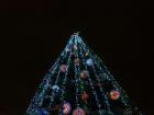 Lights were placed on the big tree at City Hall!