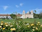 Hiding in the rose gardens of the Santa Barbara Mission (in back)