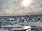 The cold waters of the Weddell Sea
