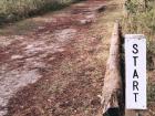 Running on my favorite nature trail in Florida to prepare for the Running Club I hope to join in China