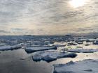 How does this ice look different from the other pictures of ice in the Weddell Sea?