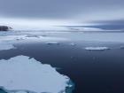 Ice floating in the Weddell Sea