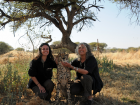 Meeting one of my heroes Dr. Laurie Marker and one of the orphaned cheetahs she helped rescue at the Cheetah Conservation Fund in Namibia 