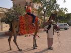 Riding a camel because cars aren't allowed on this road