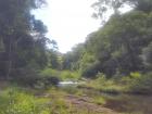 Brisbane has many beautiful waterfalls to go swim in, a nice way to beat the heat and humidity