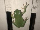 I ran out of food pictures, so check out this cool frog I found while walking around at night