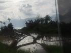 Rice paddies, a few homes and a beautiful sky overlooking Lake Maningjau about 20 minutes out of Bukittinggi