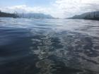 If you look closely, what can you find in the water?