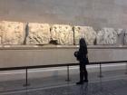 Mom walking by artifacts from the Parthenon— can you spot the bulls?