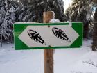 Look out for snowshoers 