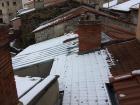 A wintry view from my kitchen— can you spot the cat prints?