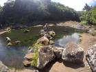 Lizzy on a rock in the river near the cascades