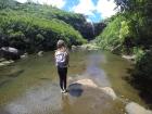 Looking at the river above the falls