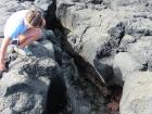 Looking for sea creatures!