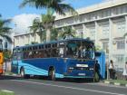 Buses are a very popular (and inexpensive) way to travel!