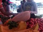 Mauritian pumpkin is sold in slices