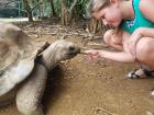 Tortoise conservation on the island