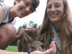 My sister and me with a kangaroo in Australia
