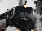A train Kian and his parents saw while hiking
