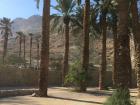 A view from the entrance at Ein Gedi