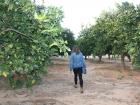 Sarah looking for oranges within our first barren spot