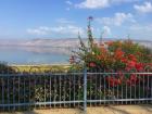 A breathtaking view of the Kinerat from a kibbutz 