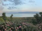 A beautiful landscape view of the Kineret during one of our Shabbat trips