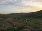 A beautiful landscape of the West Bank and the trees we just planted!